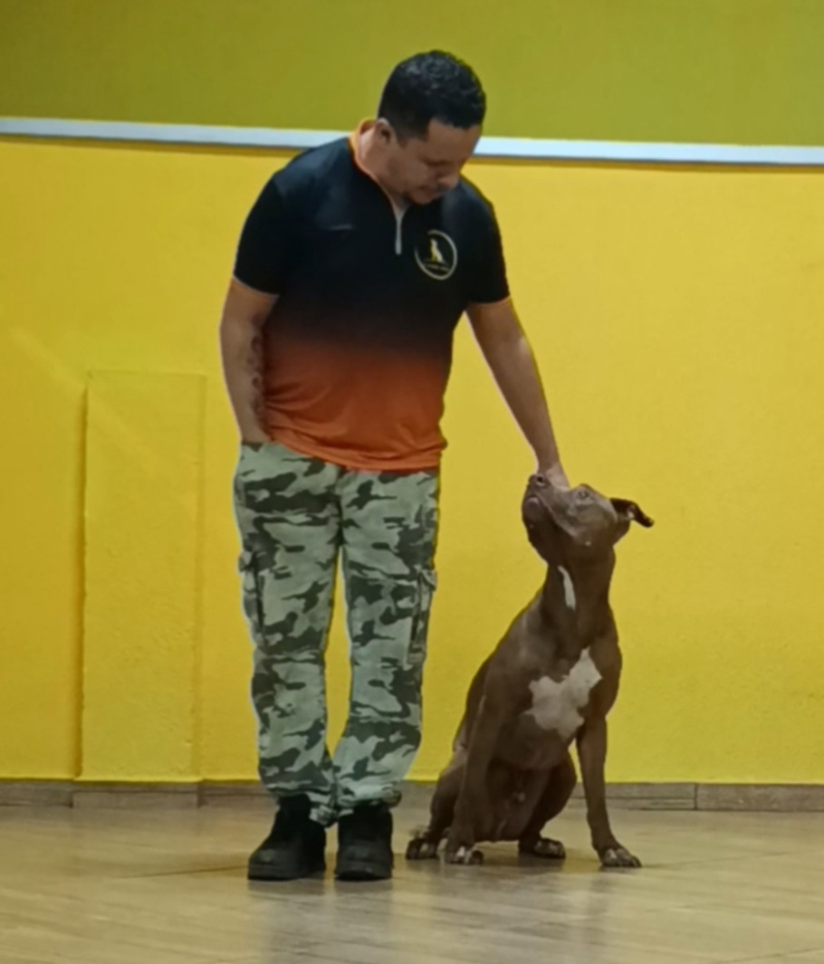 Adestrador com um cão