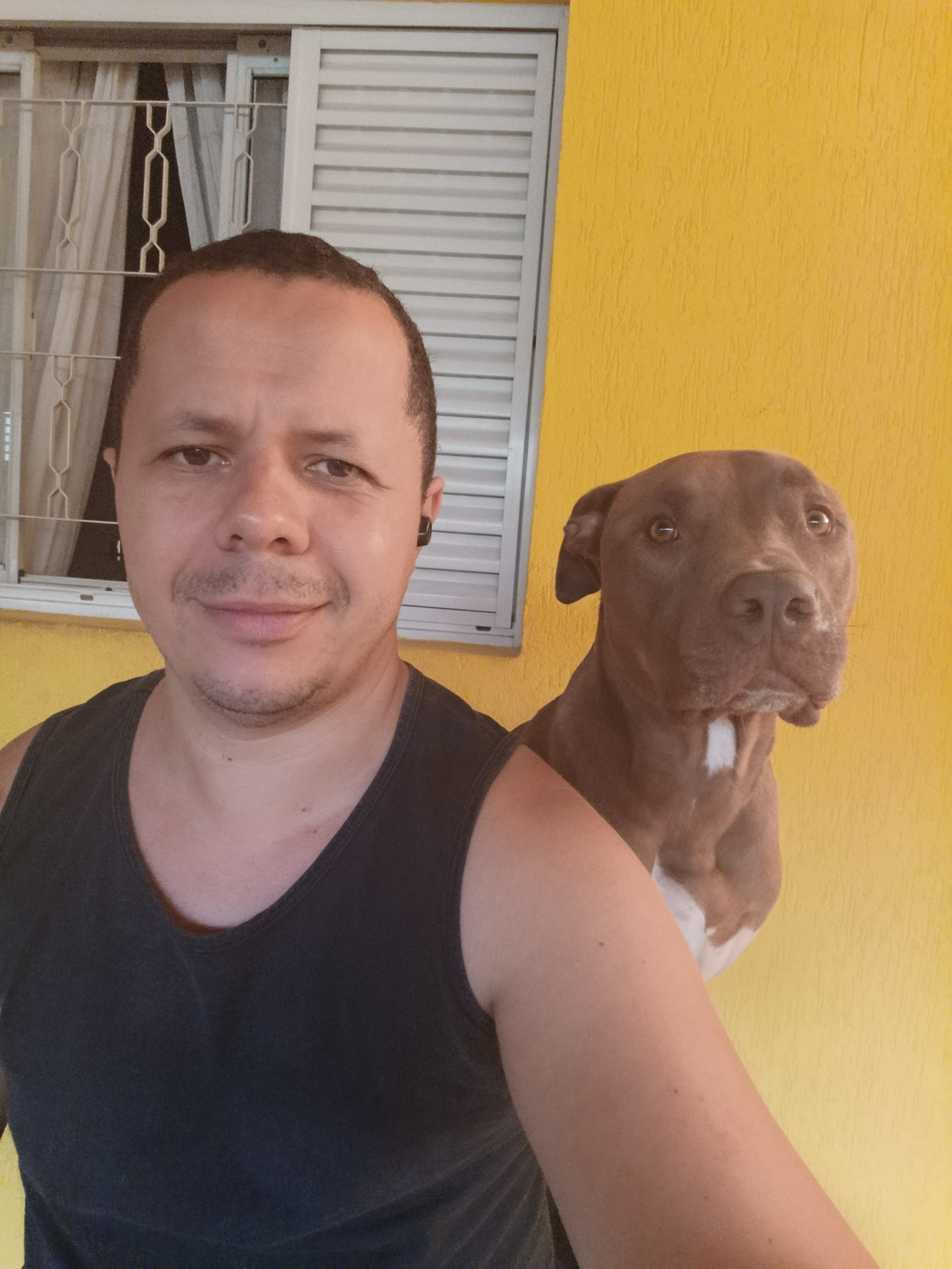 Convivência entre pessoa e cão