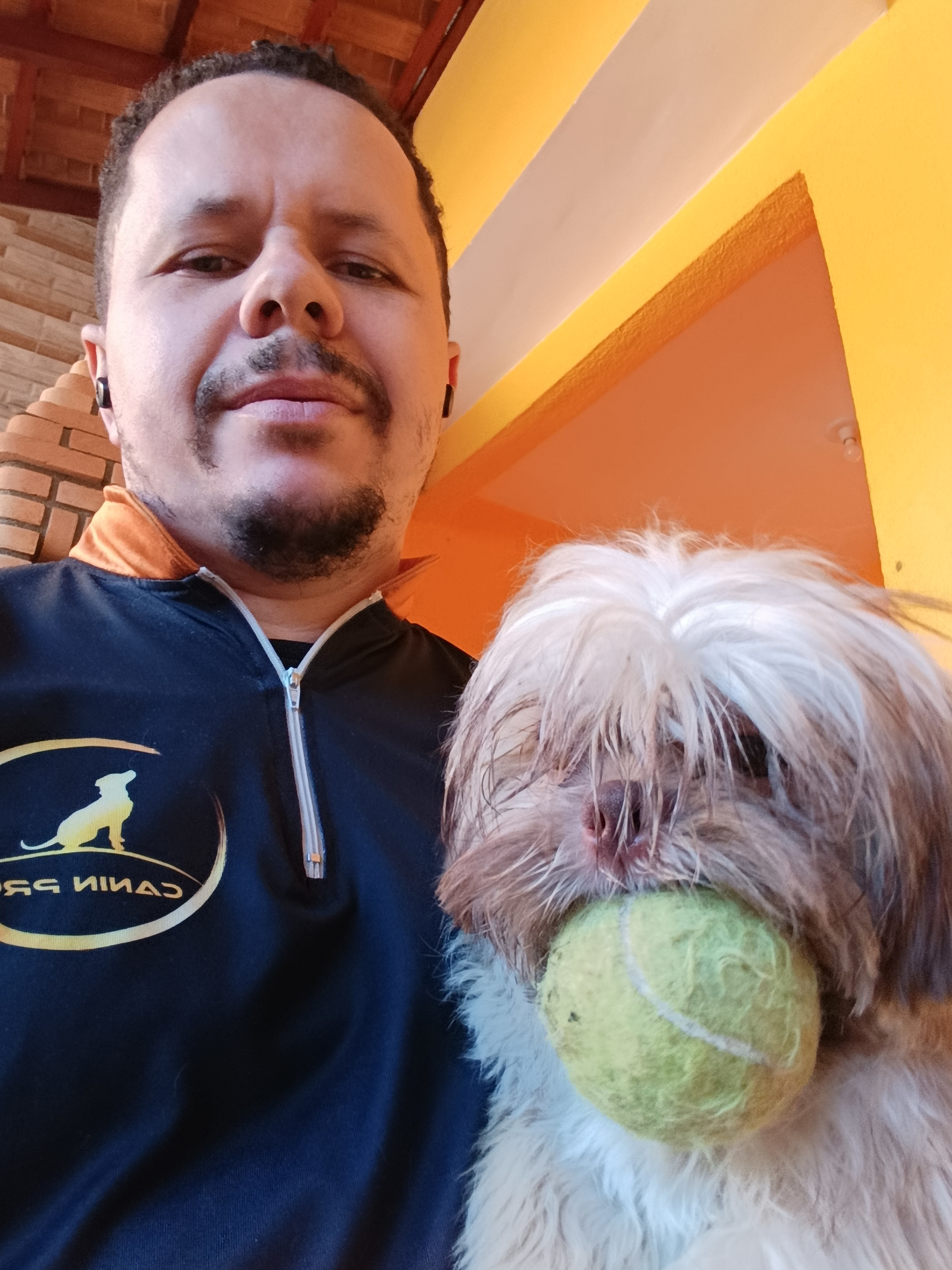Momento de conexão entre pessoa e cão