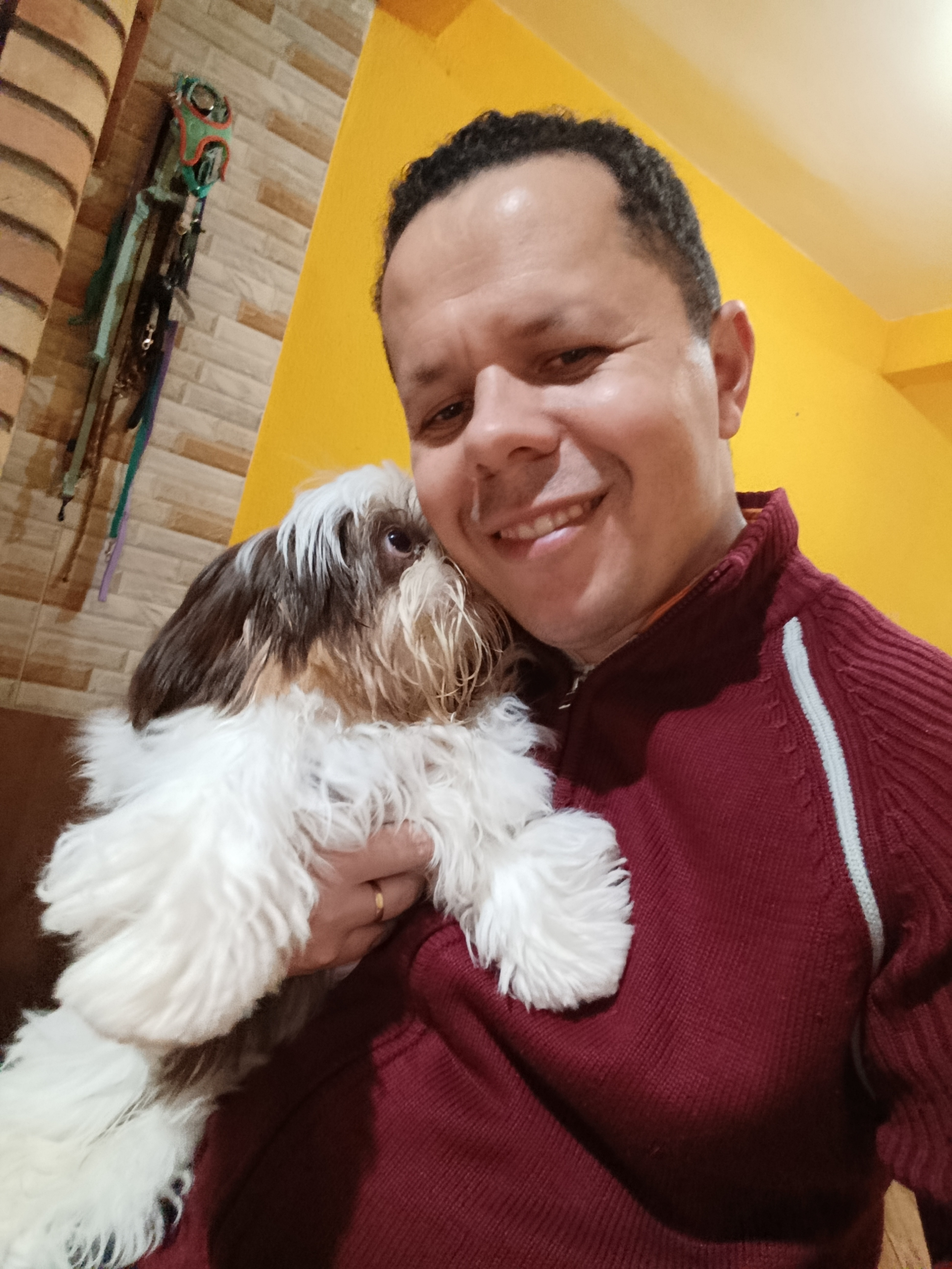 Cão acompanhado durante o treinamento
